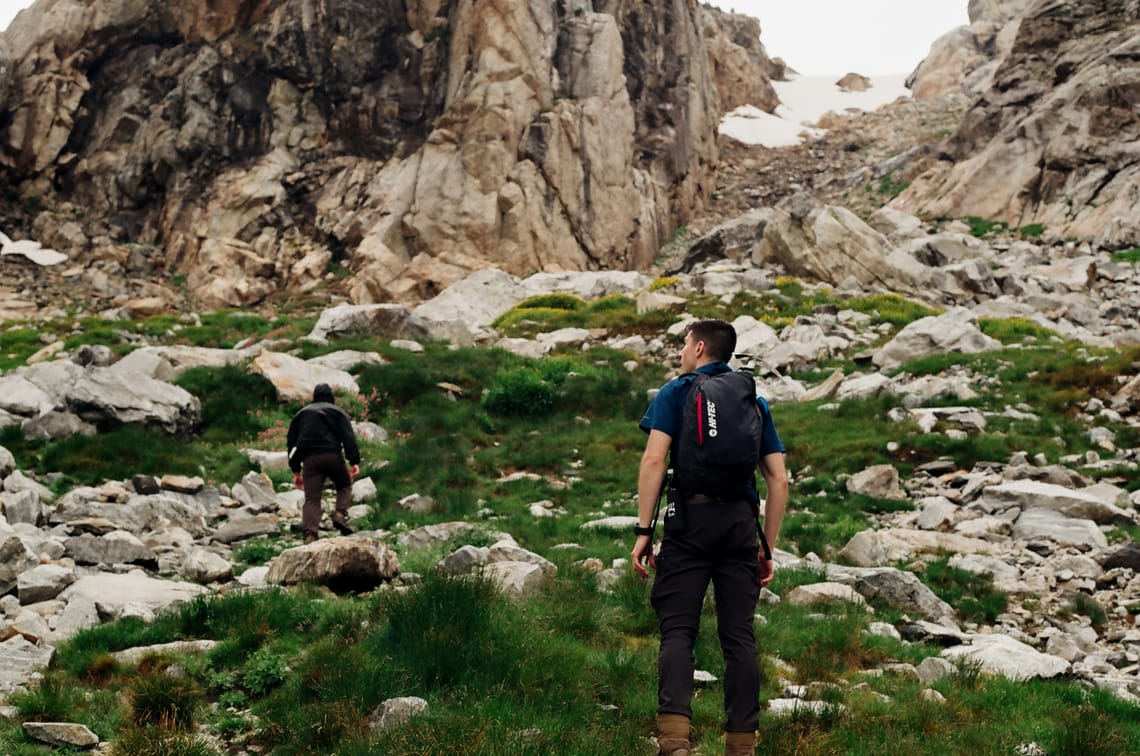 Meadow Below the Face