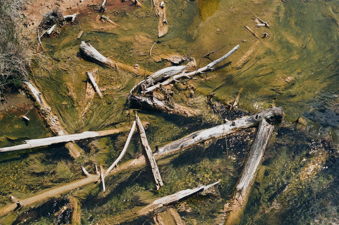 Sticks Near a Geyser
