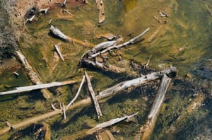 Sticks Near a Geyser