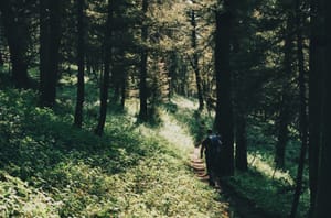 Hiking to 3P5 - Pebble Creek